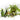 Raumspray „FORÊTS“ 100 ml – Produktansicht 2