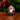 Gingko-Amber-Crystal-Light-Skull-01-Casa43