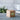 Gingko-cube-click-clock-beech-3