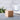Gingko-cube-click-clock-beech-4