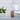 Gingko-cube-click-clock-beech-5