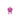 Small Bumble "Pink" – Hoptimist