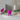 Small Bumble "Pink" – Hoptimist