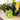 Anti-Stress Squishy - "Dino" - Stress Less von LEGAMI, Produktansicht 3