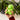 Anti-Stress Squishy - "Dino" - Stress Less von LEGAMI, Produktansicht 4