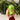 Anti-Stress Squishy - "Dino" - Stress Less von LEGAMI, Produktansicht 5