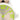 Damenuhr Timepieces Lime / Leo-Muster C0902 – OOZOO – Ansicht 3
