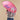 Regenschirm „Arty Cats - Fuchsia“ von Original Duckhead – Produktansicht 7