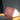 SMART-BOOK-LIGHT-Mini-Blush-Pink-gingko-02