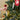 Twiddlers-Nussknacker-223-Casa43-12