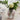 Vase-Viola-Poesia-11cm-Leonardo-02