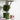 Avolt-Square1-Pink-02-casa43