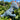 Großes Dinosaurier-Plüschtier aus Bio-Baumwolle - T-Rex • Best Years Ltd