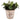 Clayre-Eef-6CE1641L-Casa43-02