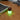 Gingko-Lemelia-Light-Walnut-06
