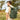 Got-Bag-Rolltop-algae-06-casa43