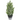 Hoff-winterbaum-frozen-38cm-01-casa43
