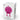 Hoptimist-Bumble-M-Pink-Casa43-02