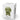 Hoptimist-Soft-Bimble-S-Olive-Casa43-01