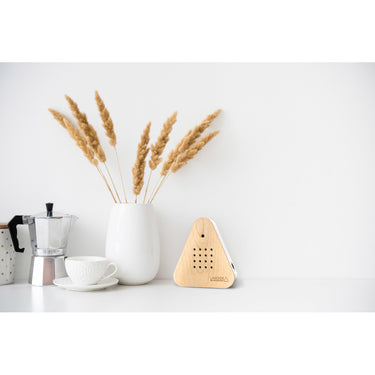 Lakesidebox »Birke« von Relaxound – Produktansicht