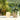 Relaxound-JungleBox-Oak-05-Casa43