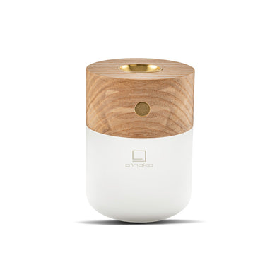 Smart-Diffuser-Lamp-Ahorn-Gingko-02