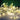 Allium Starburst LED-Lichterkette 2,1 m • Talking Tables