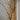 Gold LED Lichterkette "String Lights" 3 m • Talking Tables