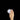 handtaschenlicht-soi-hand