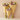 wildflowers-by-floriette-FB30-S-M-P-Casa43-02