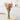 wildflowers-by-floriette-FB30-S-M-P-Casa43-03